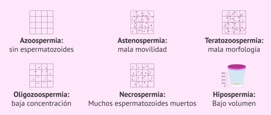 ¿Sabés interpretar tu seminograma?